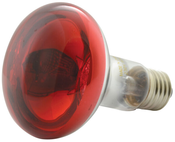 QTX R80-R - R80 Red Reflector Bulb E27