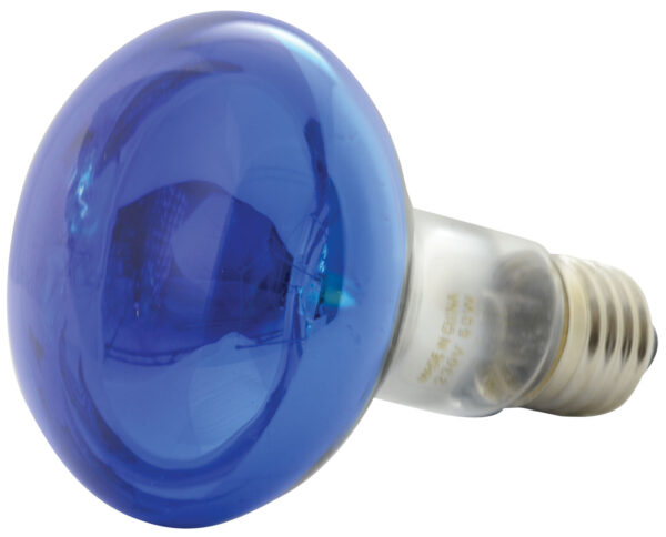 QTX R80-B - R80 Blue Reflector Bulb E27