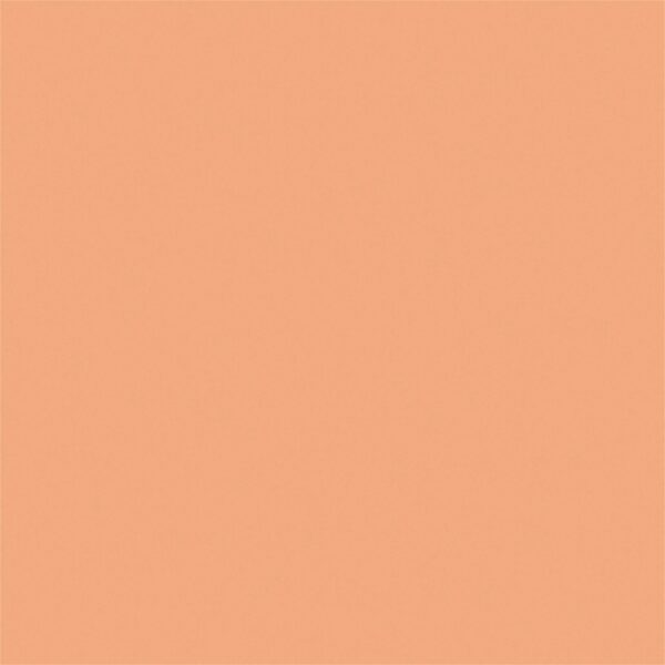 FXLAB G008KKF - Light Salmon 109 Coloured Gel Sheet 48x21 Inch