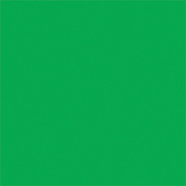 FXLAB G008KKP - Fern Green 122 Coloured Gel Sheet 48x21 Inch