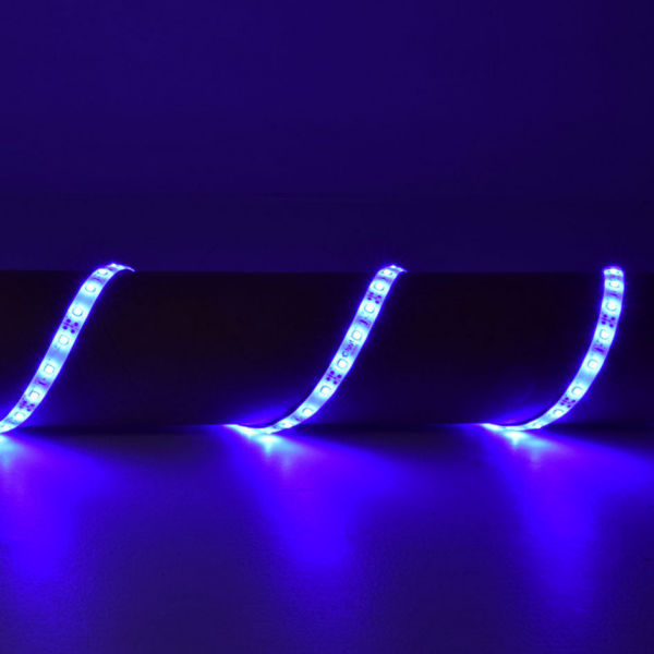 Lyyt LT12560-BL - 5m Blue 12V Single Colour LED Tape - Image 4