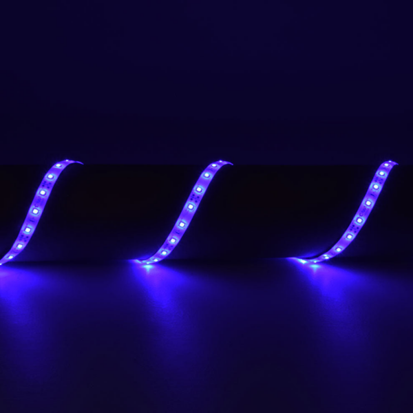 Lyyt LT12560-BL - 5m Blue 12V Single Colour LED Tape - Image 5