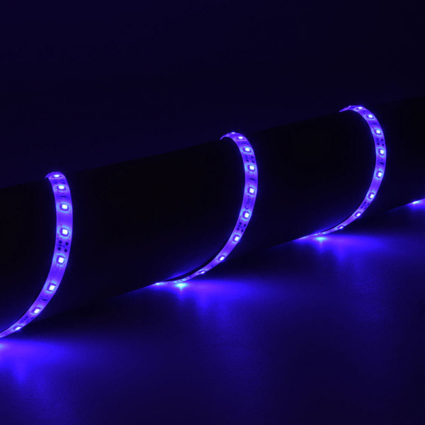 Lyyt LT12560-BL - 5m Blue 12V Single Colour LED Tape - Image 6