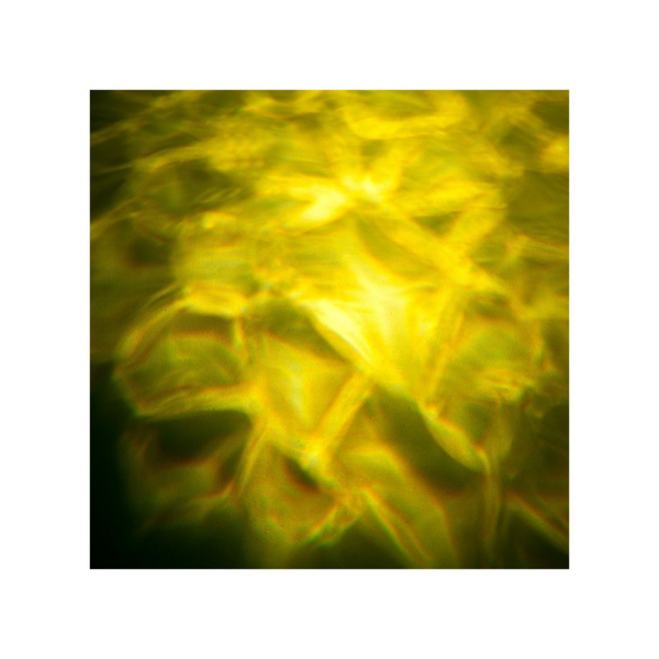 ADJ H2O DMX IR - Water Flowing Effect with an 80W LED Source - Image 6